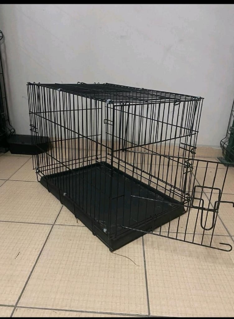 köpeğim öldü bütün mazemeler kıyafetle - 2