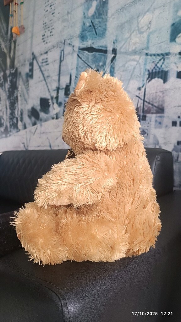 Peluş Oyuncak Ayı Son Fiyat - 11