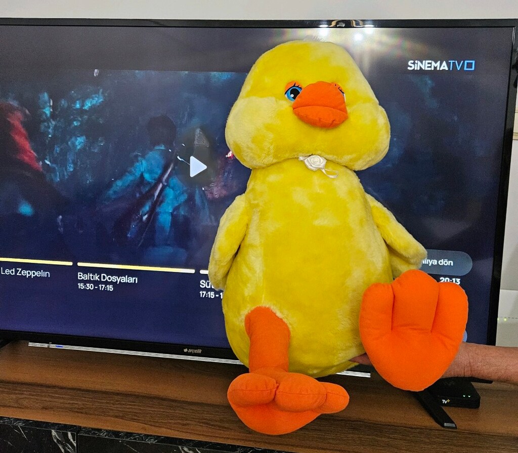 peluş civciv tv 140 ekrandir ölcü icin fot cekilmistir - 2