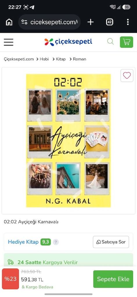 Ayçiçeği Karnavalı - N.G. Karal - 11