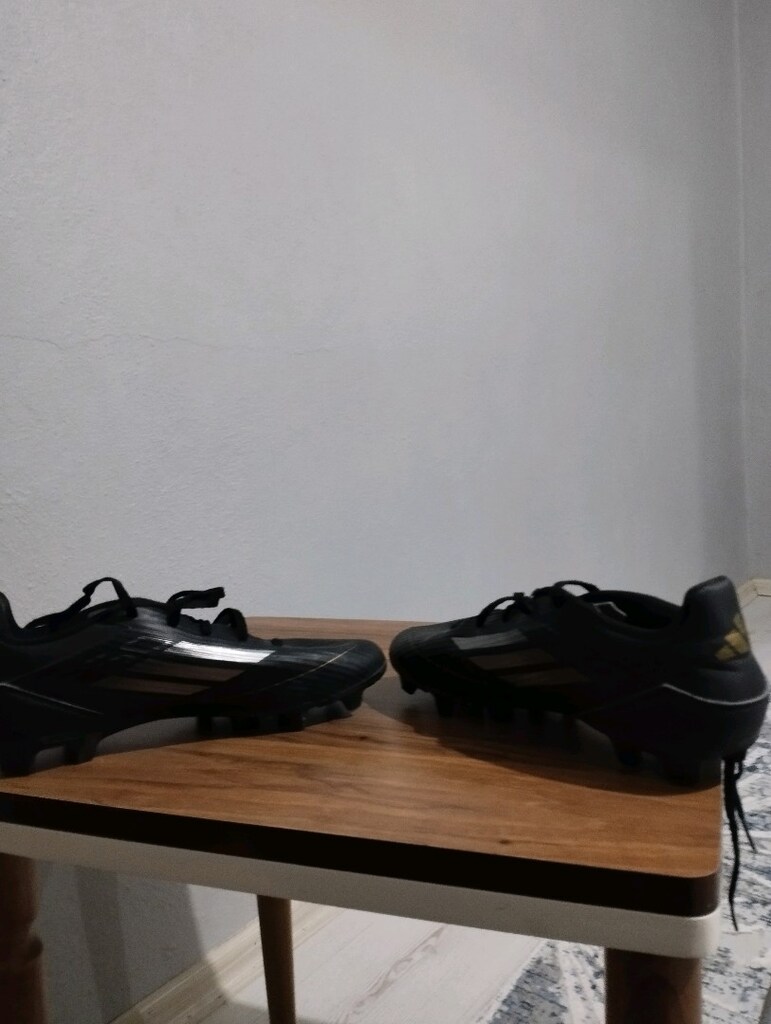 F50 Krampon - 4