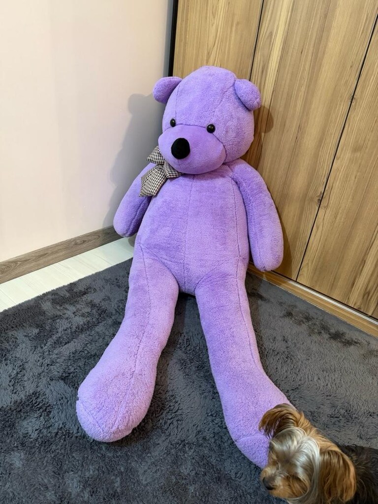 160 Cm Pelus Ayı - 2