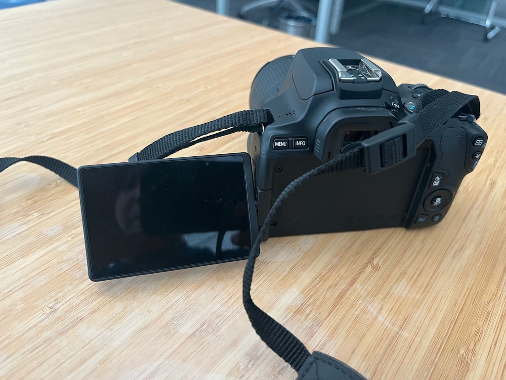 CANON EOS 250D 4K EF-S 18-55, 128GB SD + Çanta, Eksiksiz, Çok Temiz - 7
