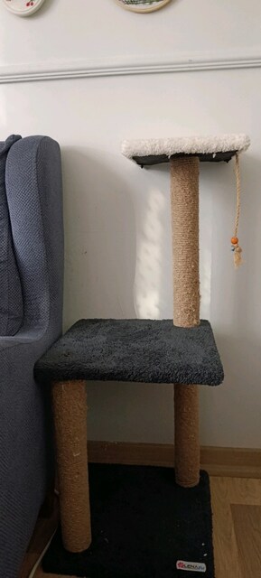 kedi tırmalama tahtası