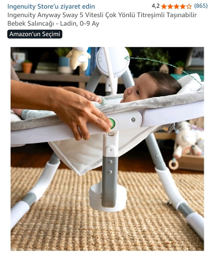 Ingenuity Anyway Sway 5 Vitesli Taşınabilir Bebek Salıncağı - Ladin - 5