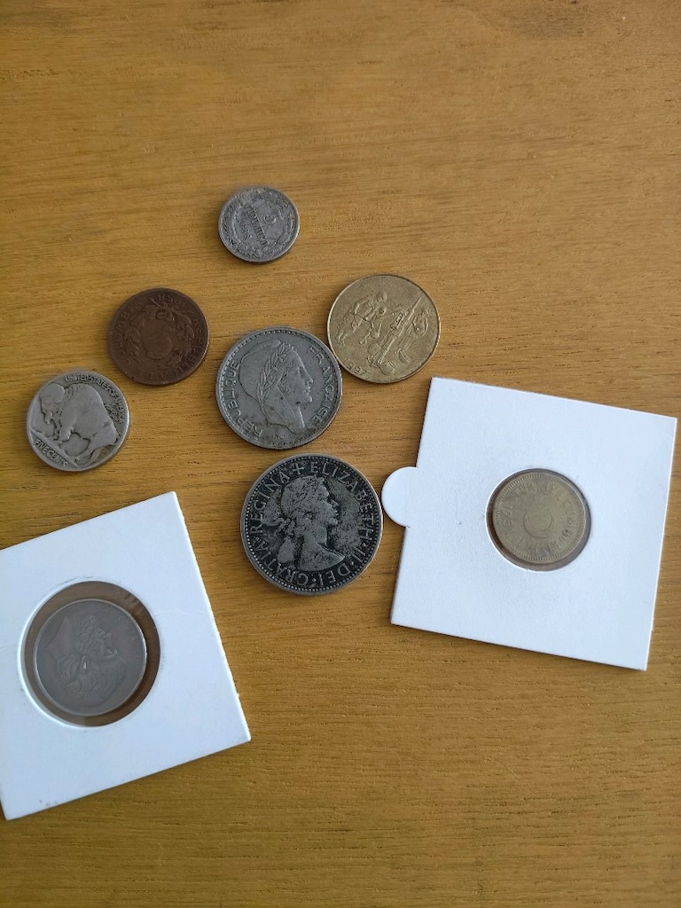 8 Adet Dünya Koleksiyon Parası Lotu | Elizabeth Şilin, Buffalo Nickel, - 6
