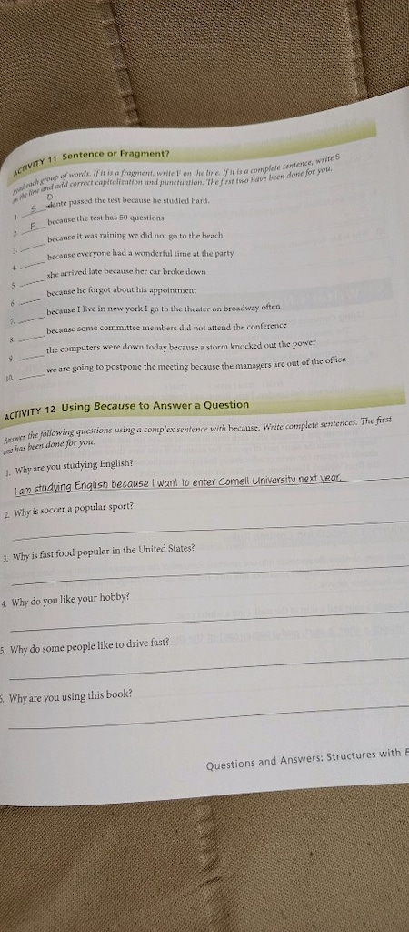 Great Sentences for Great Paragraphs - 4