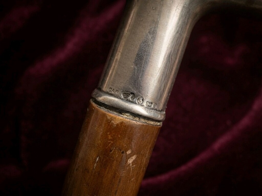 Gümüş Başlıklı Baston - 3