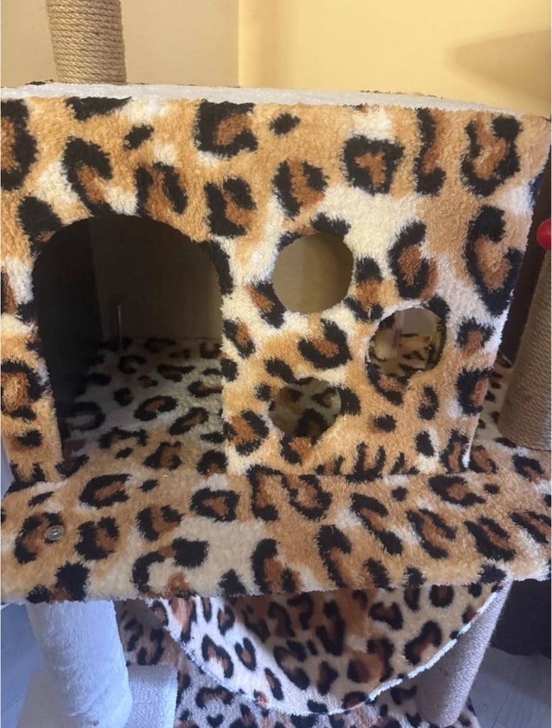LEOPAR KEDİ EVİ - 2