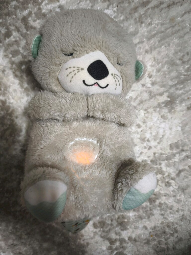 Fisher Price Uyku Arkadaşı Şu samuru - 2