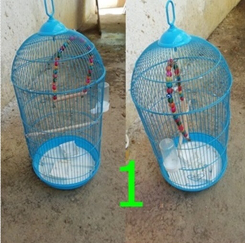KUŞ KAFESLERİ MUHABBET-JAKO-KÖPEK KULÜBESİ-AKVARYUM-KEDİ EVİ DETAY OKU - 5