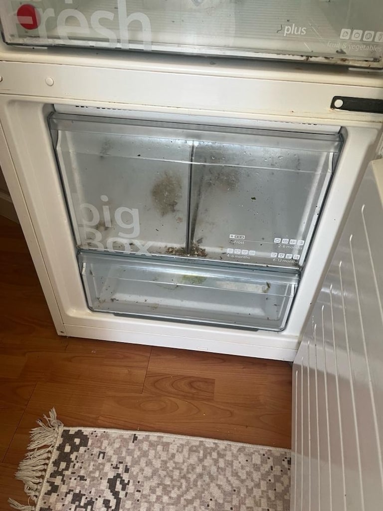 Siemens Buzdolabı - 4
