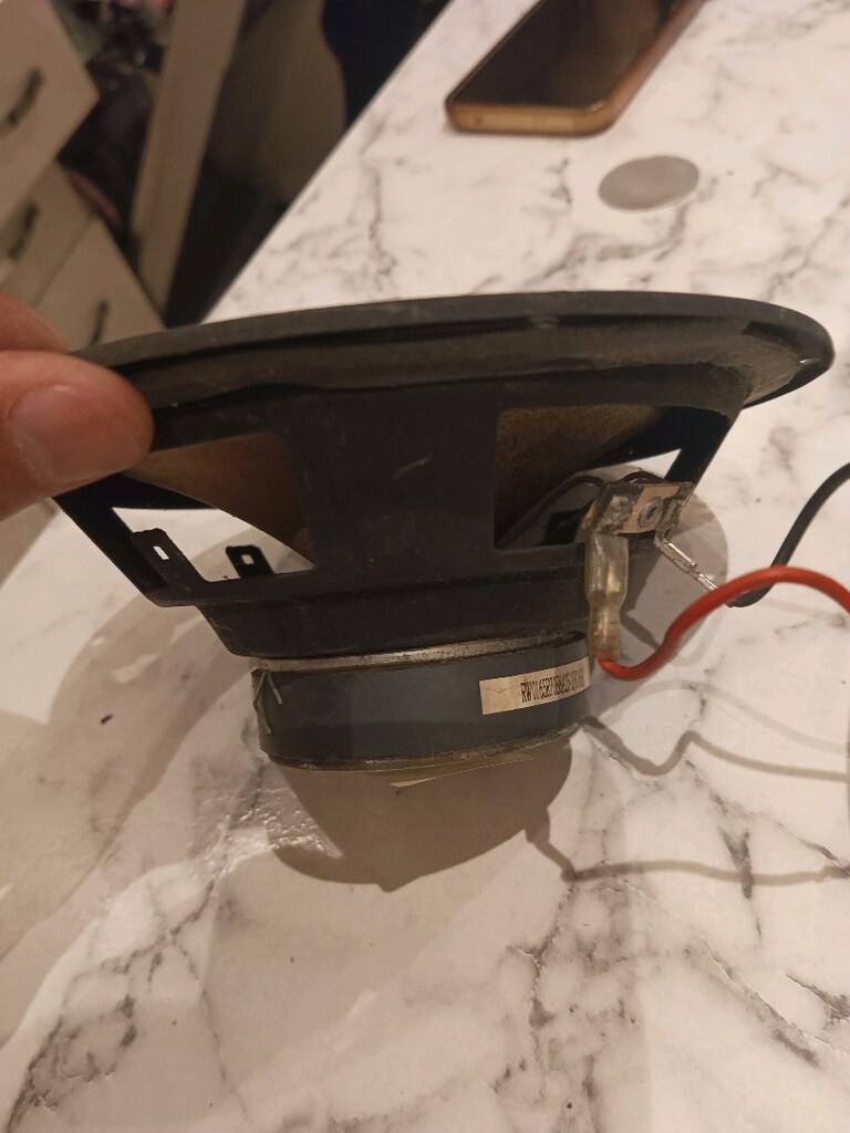 Hopörlör 2 Adet 50 waatt - 10