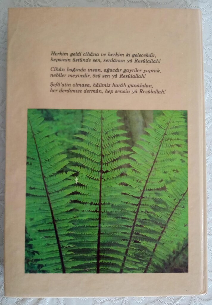 PEYGAMBERLER TARİHİ ANSİKLOPEDİSİ - 7