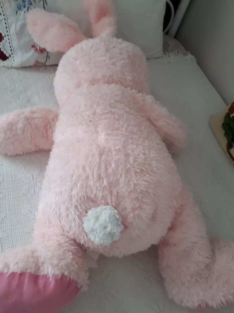 Pelus pembe ayı - 5