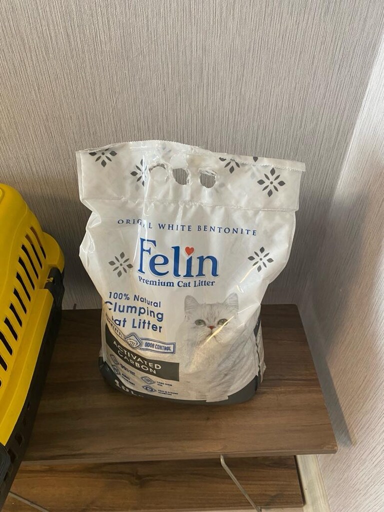 Yeni Kedi evi Hediyeli - 5