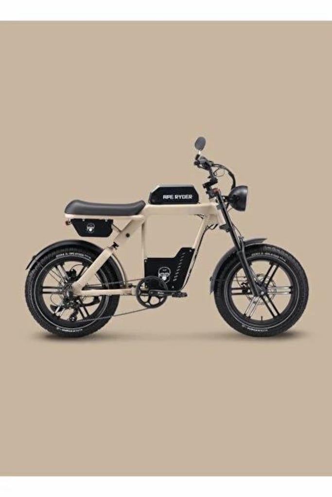 elektrikli bisiklet 750w