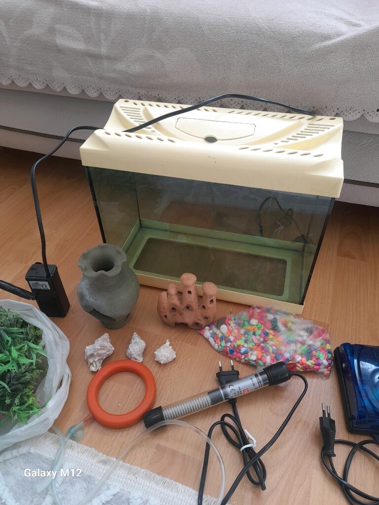 küçük akvaryum - 4