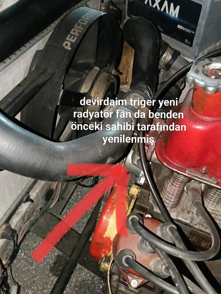 Doğan görünümlü Şahin - 5