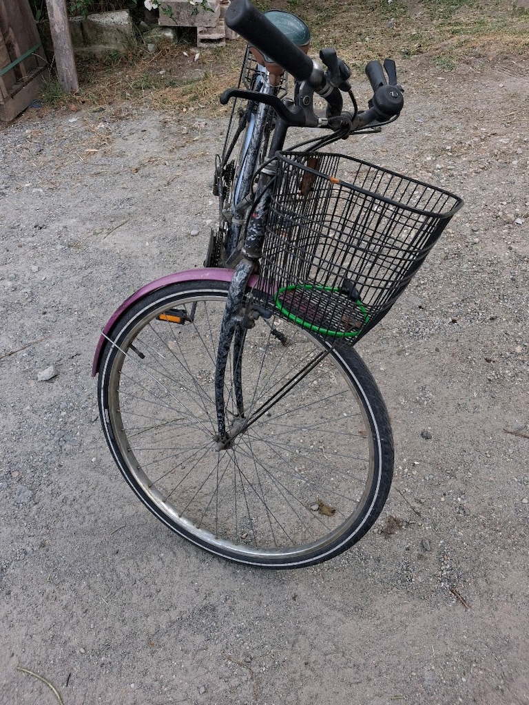 vitesli avrupa şehir bisikleti dede bisikleti retro bisiklet - 2