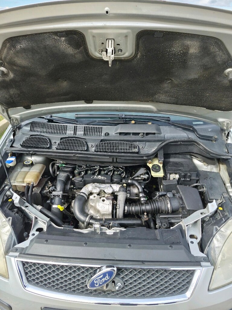 sahibinde değişensiz c max ghia - 10