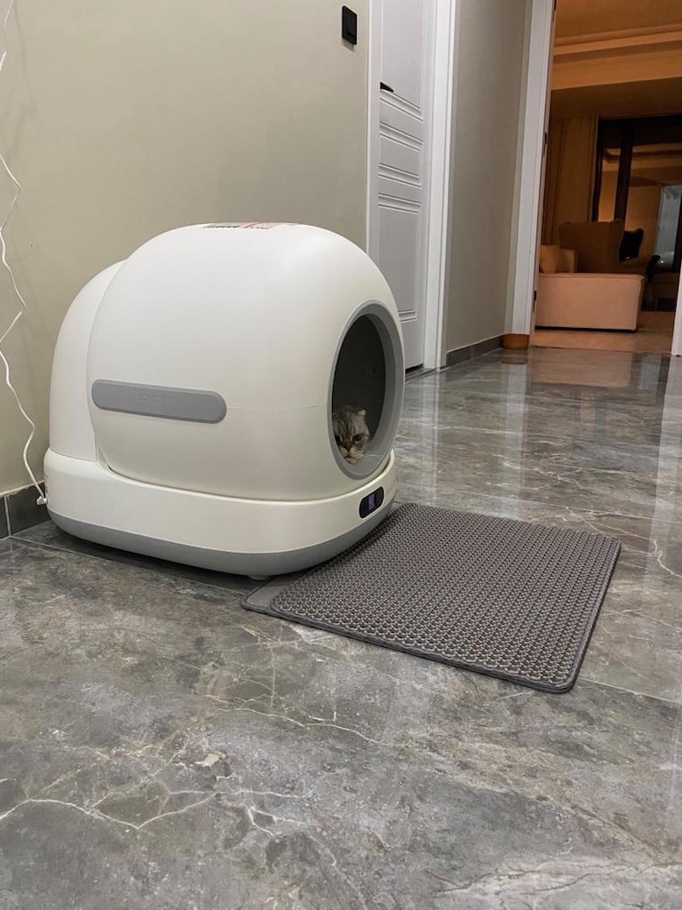 Xenon kamerasız kedi tuvaleti - 2