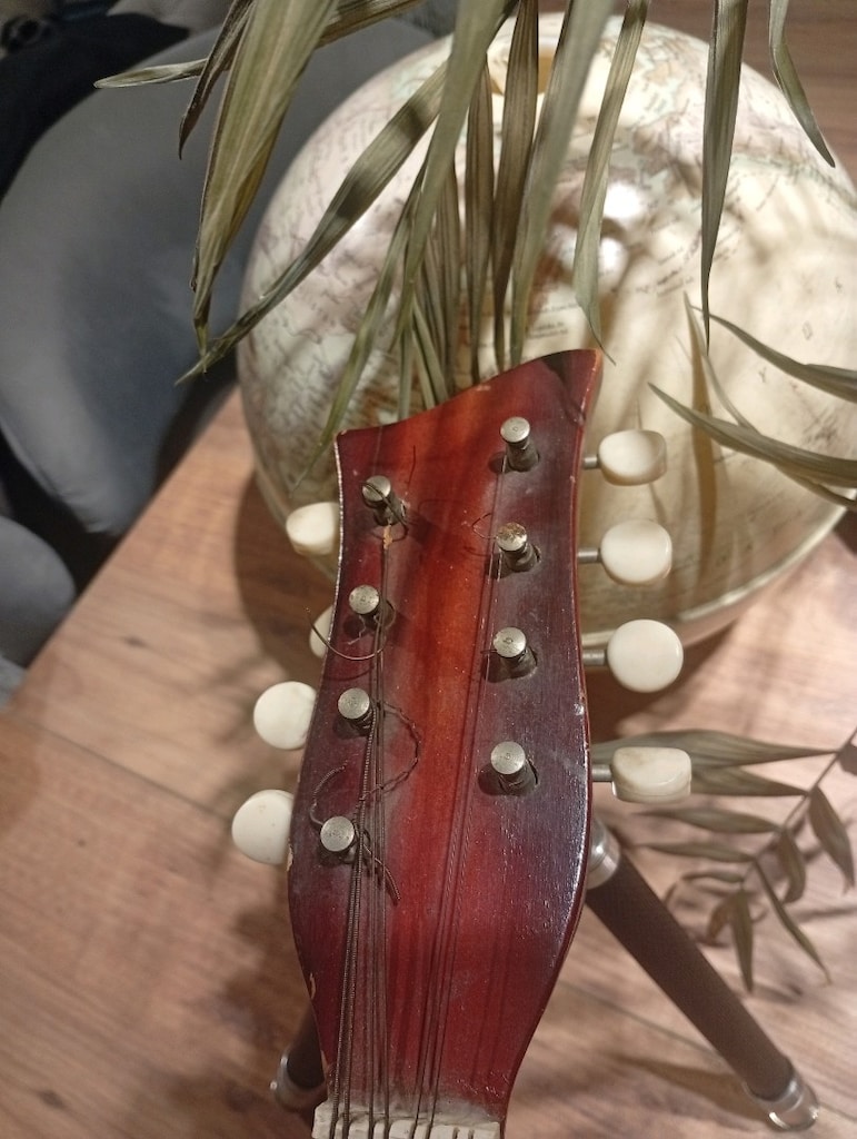 mandolin - 7