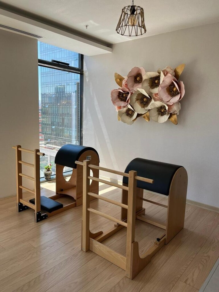 reformer pilates , aletli pilates , cadillac . chair , barel spine co - 2