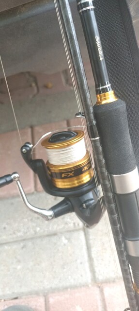 Daiwa karbon legalis seabass