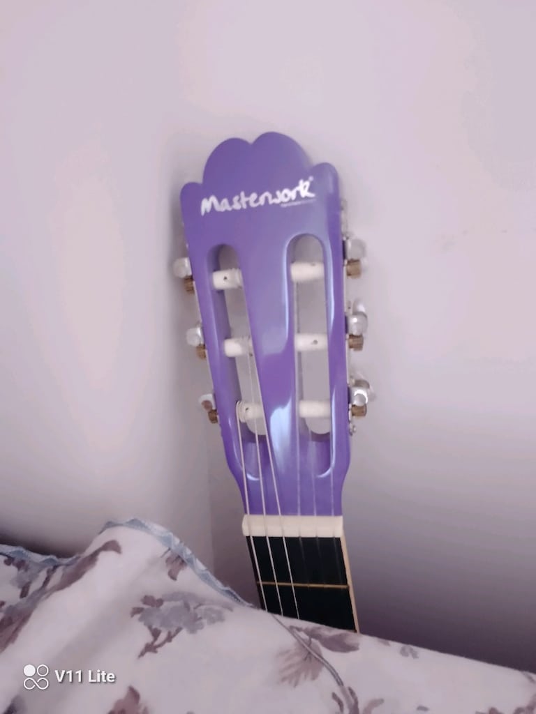 Masterwork gitar - 12