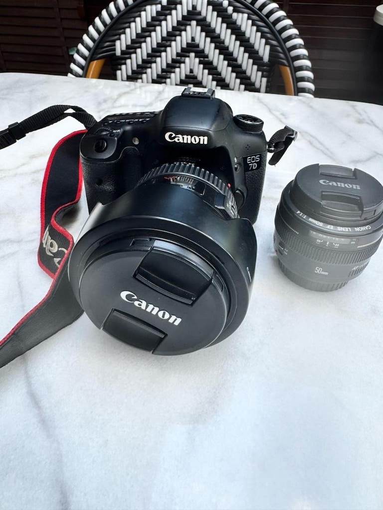 canon lens 24 -105 L 1:4 - 3