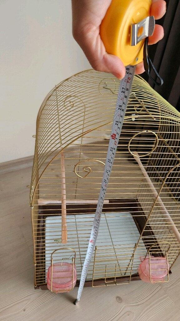 Kuş kafesi - 4
