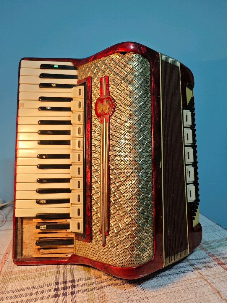 Weltmeister 120 Bass Akordeon - 12