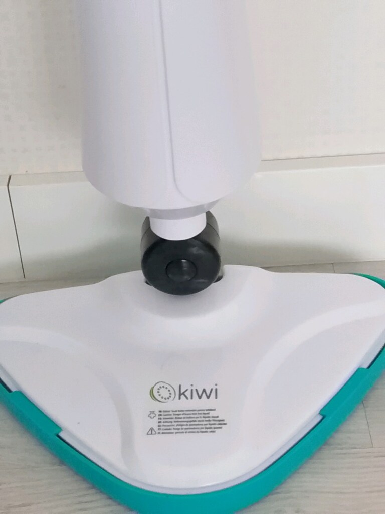 Kiwi buhar makiesi. - 2