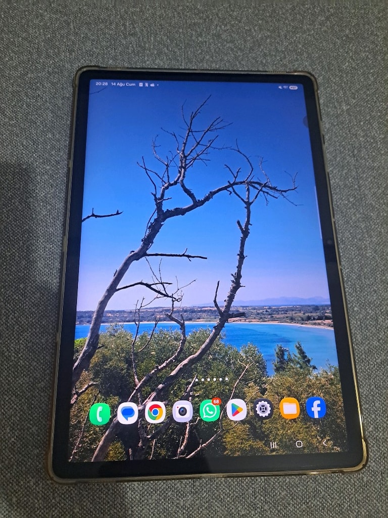 Samsung Galaxy Tab S9 FE+ Wifi 12 GB Ram 256 GB - 7