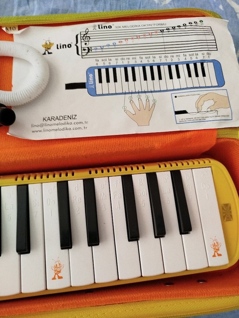 melodika - 3