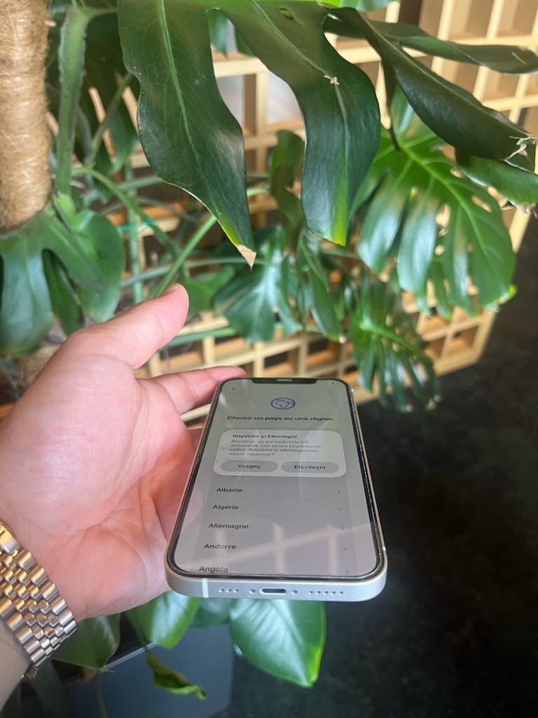 Tertemiz iPhone 12 - 3