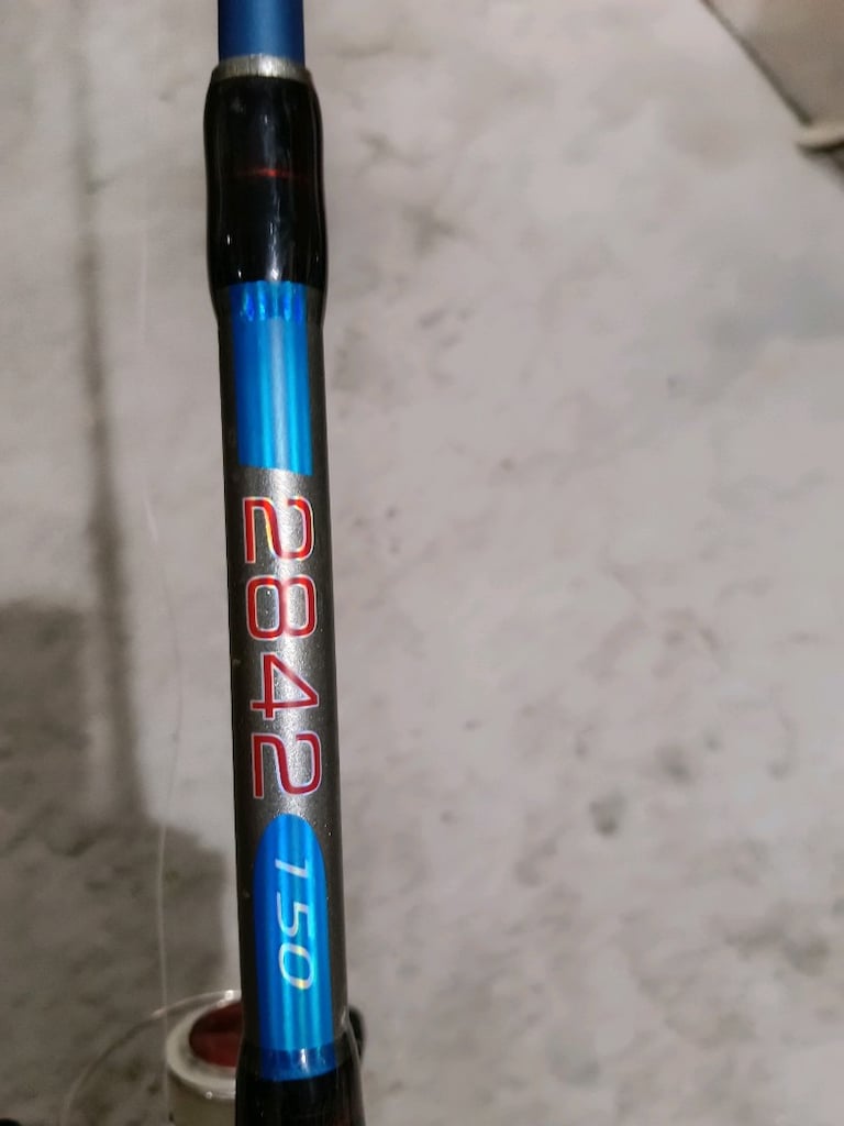 TEKNE OLTASI - 3
