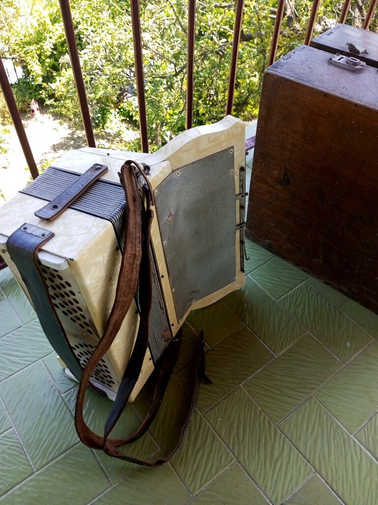 Antika Masif Ahşap Sandıklı Hohner Akardion (min. 110 senelik) - 6