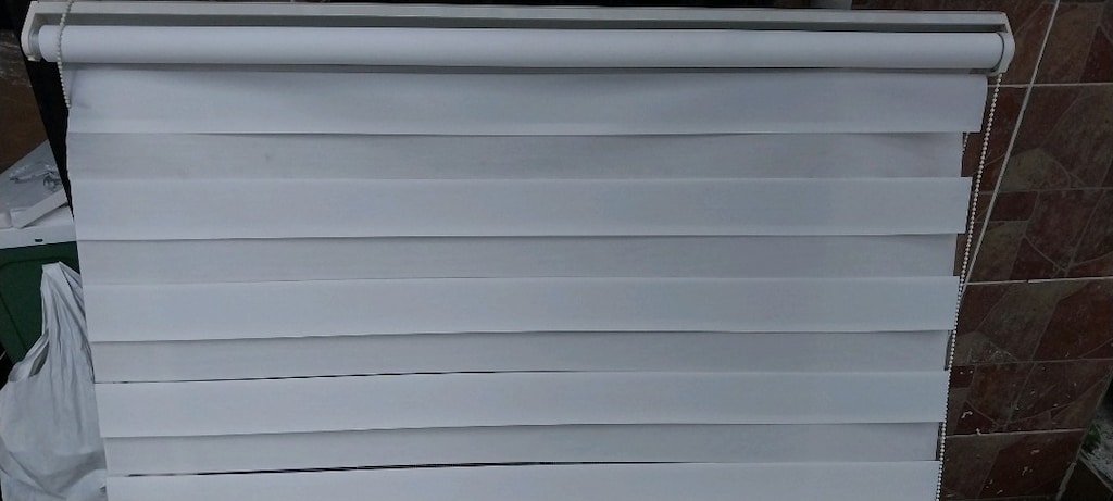 zebra - 4