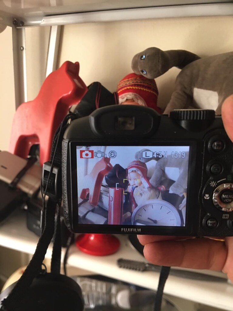 Fujifilm FinePix S1900 12MP 15x Zoom Çantalı 8GB Kart - 2
