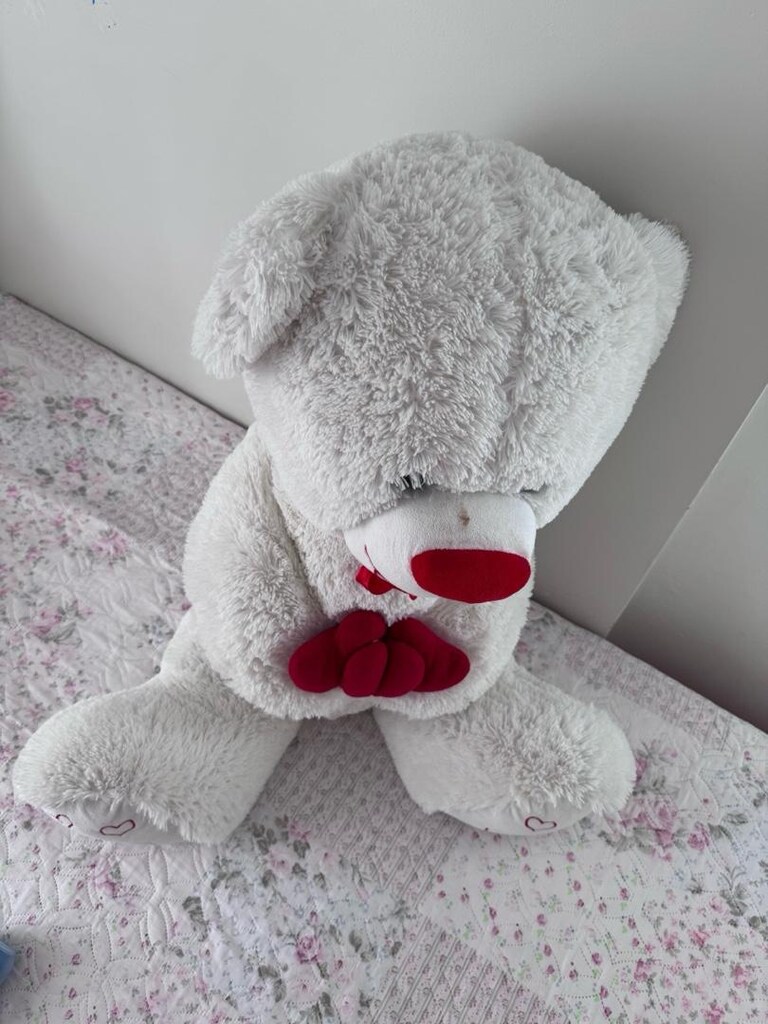 Peluş Ayı - 4