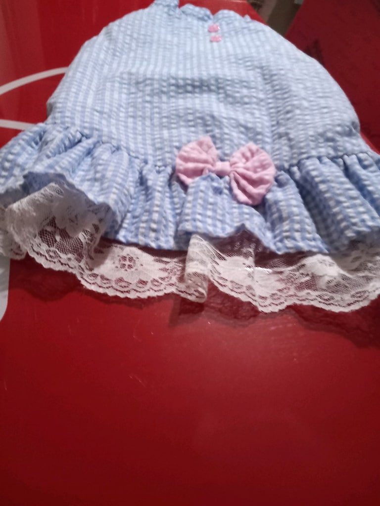 kopek kıyafetleri çok kısa süre kullanıldı yeni gibi - 3