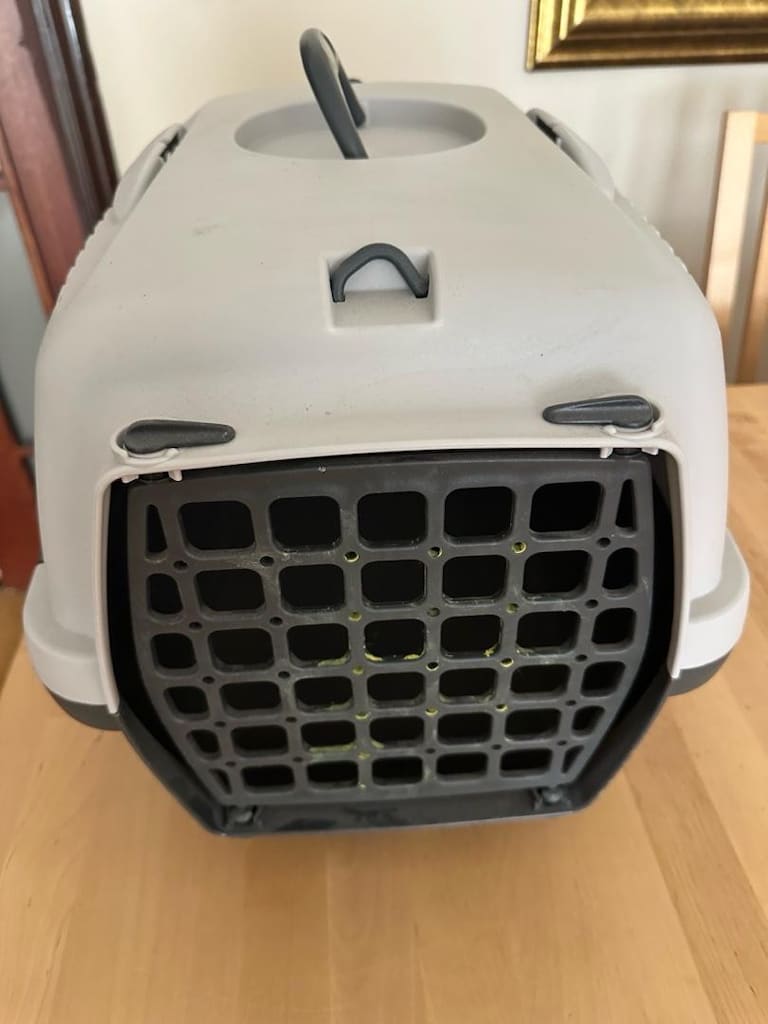 Kadi Köpek Puseti - 3