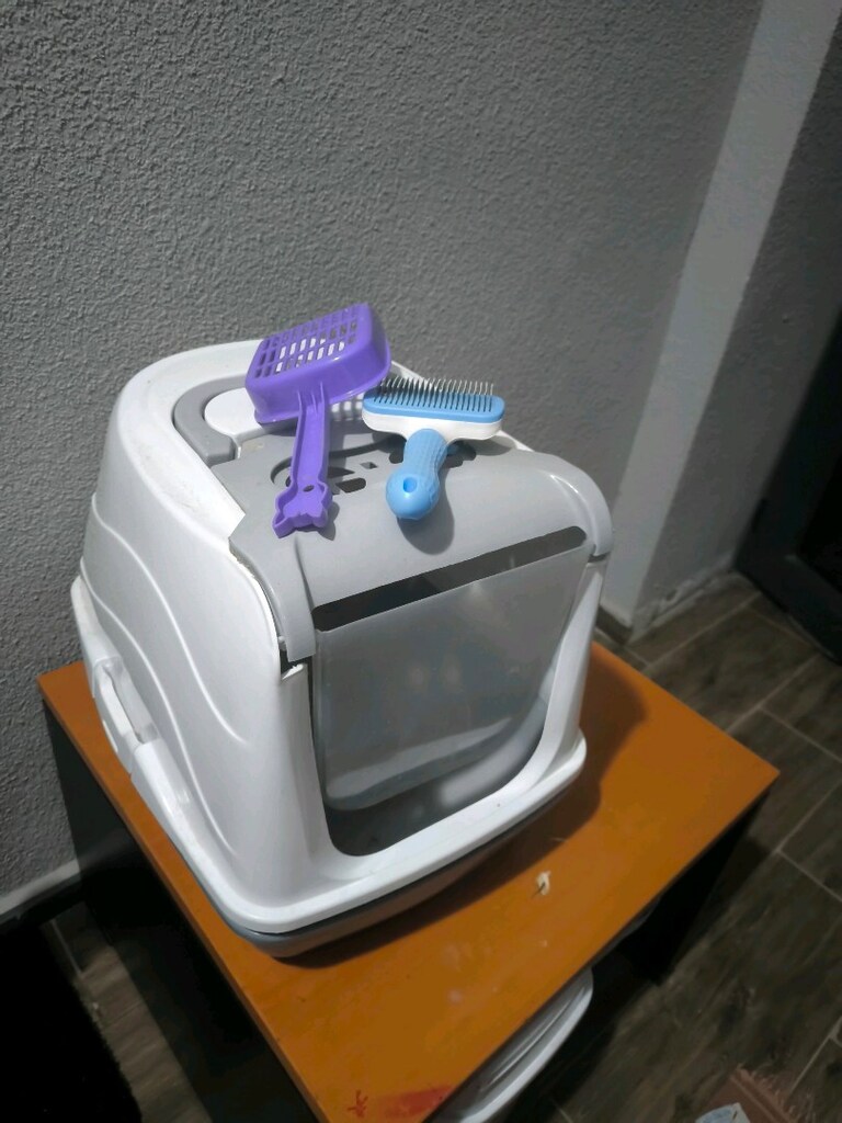 kedi tuvaleti ve tırmalama - 2