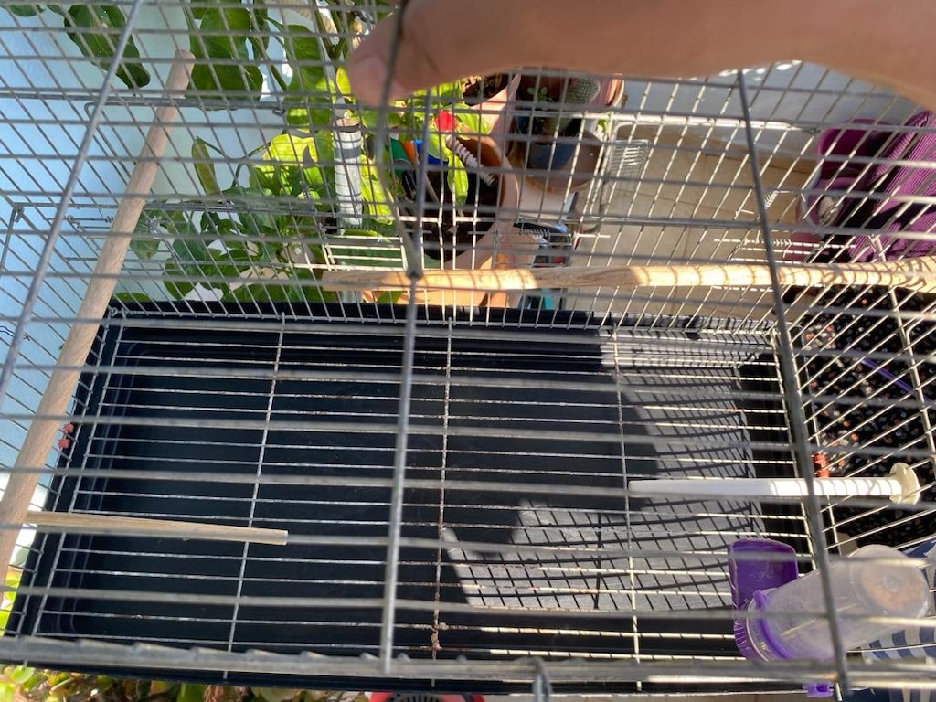 çifthane kaf*s - 4