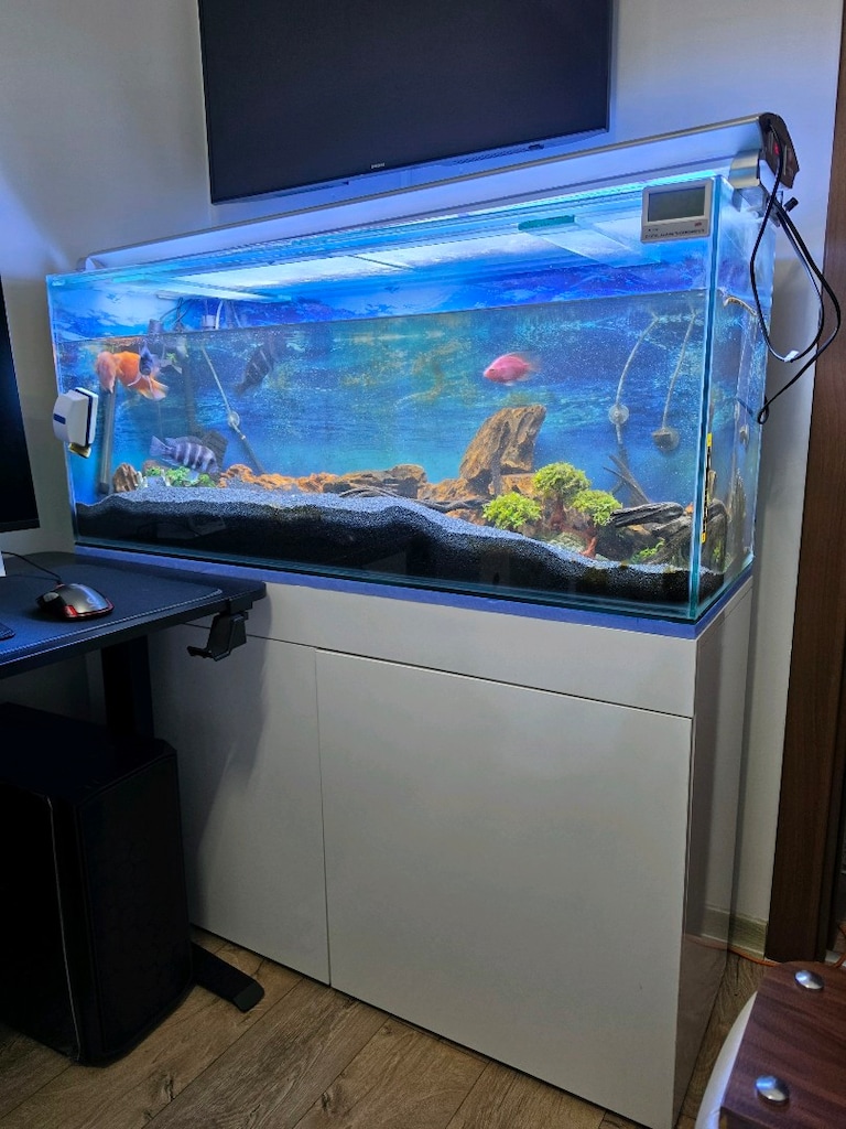120x60 KOMPLE AKVARYUM SETİ – BALIKLAR DAHİL – 4 FRONTOZA + 4 PAPAĞA - 5
