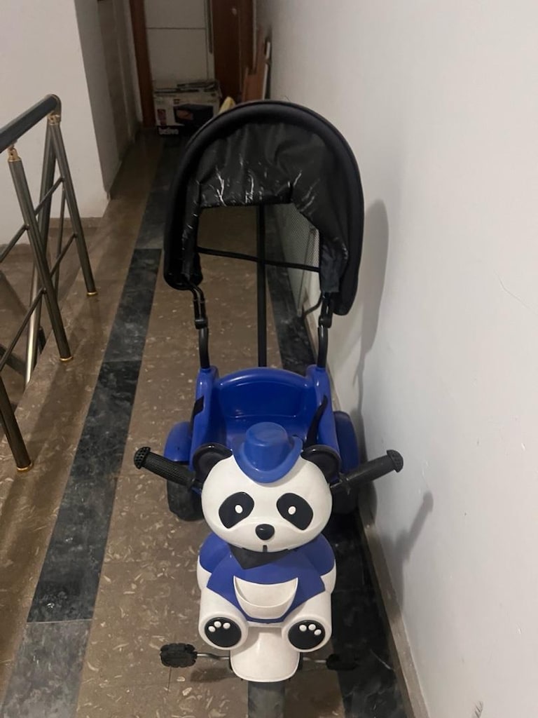 panda bisiklet - 2