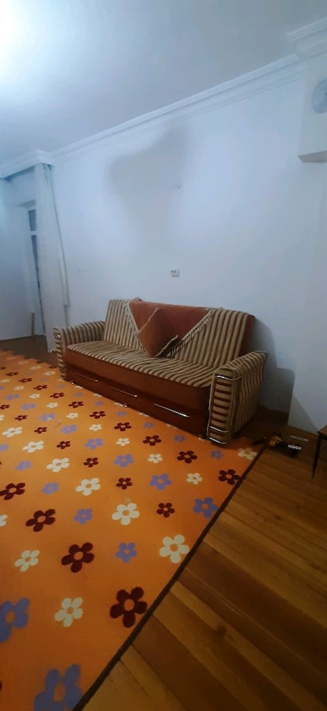 2 kanepe halı dahil FIRSAT!!!!!!!!!!!!! - 2