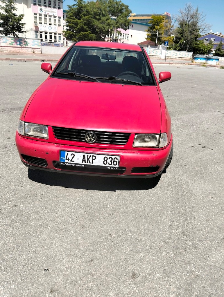 polo - 11